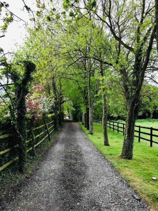 Northdown Lodge - Stunning Property On The Kent Northdowns Hollingbourne Exteriör bild